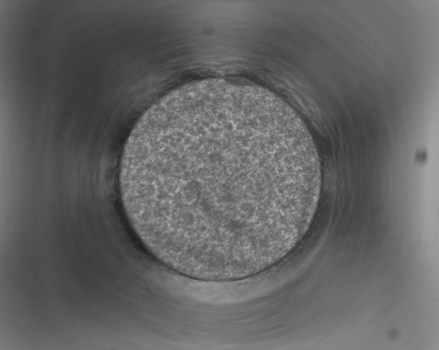 X0000116610030201001081220