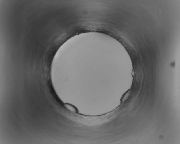 X0000116610031201001081220