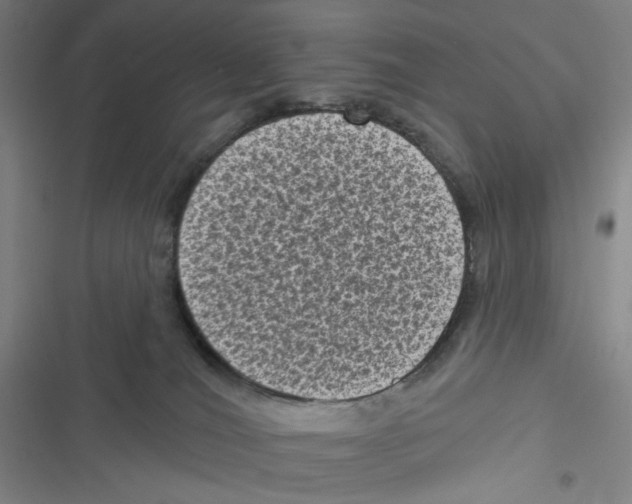 X0000116610036201001081220