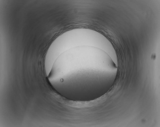 X0000116610037201001081220