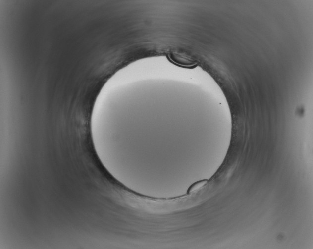 X0000116610039201001081220