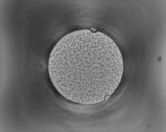 X0000116610040201001081220