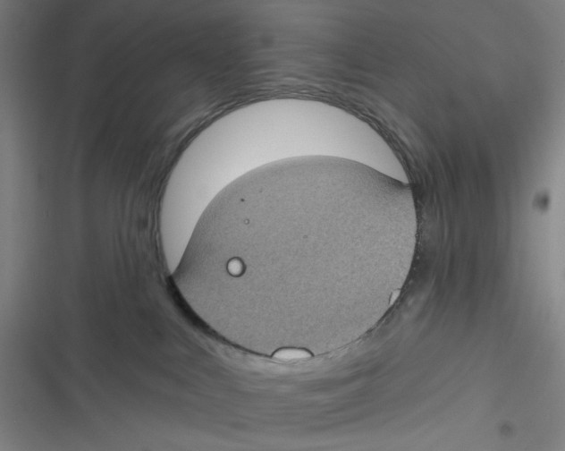 X0000116610043201001081220