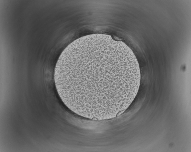 X0000116610044201001081220