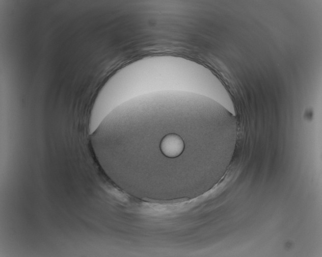 X0000116610045201001081220