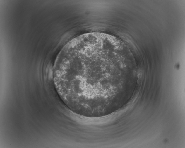 X0000116610046201001081220