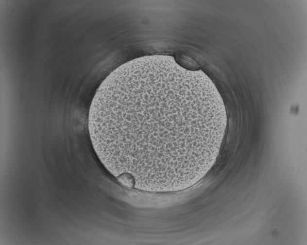 X0000116610048201001081220