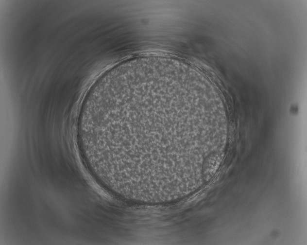 X0000116610049201001081219