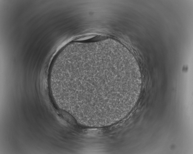 X0000116610050201001081219