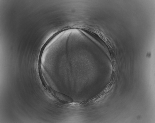 X0000116610052201001081219