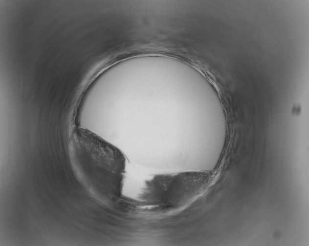 X0000116610053201001081219