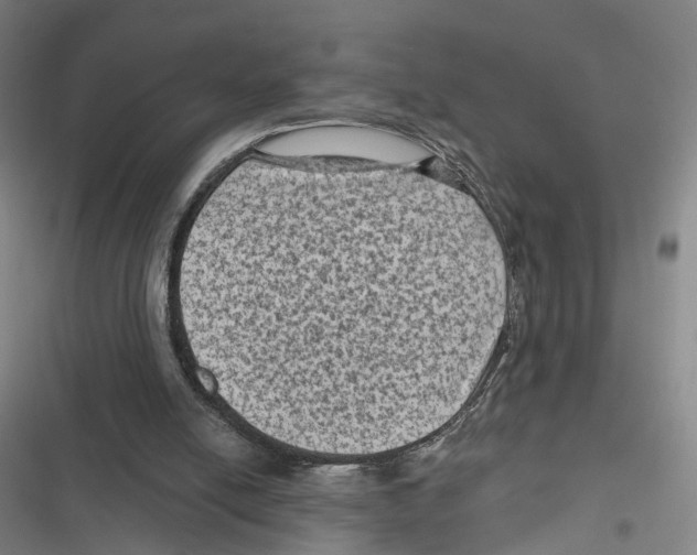 X0000116610054201001081219