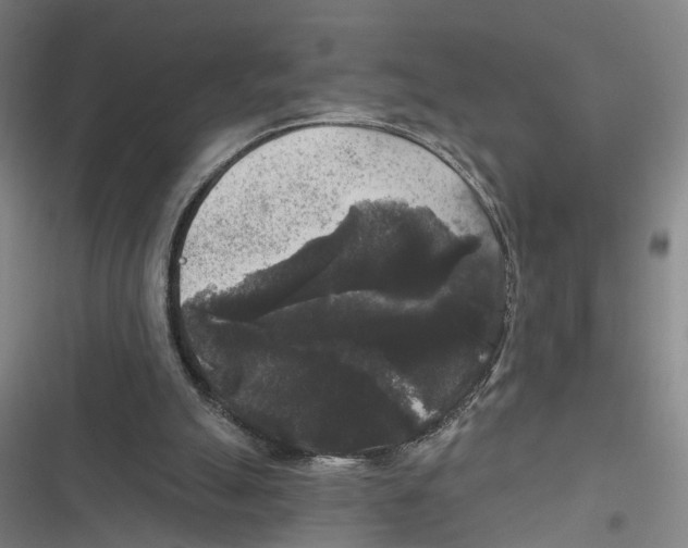 X0000116610055201001081219