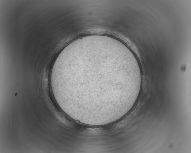 X0000116610057201001081219