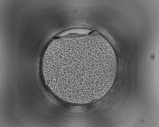 X0000116610058201001081219