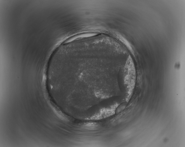 X0000116610059201001081219