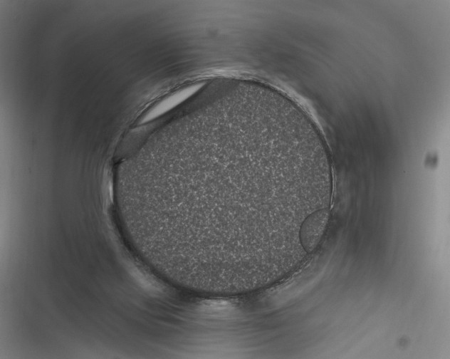 X0000116610061201001081219