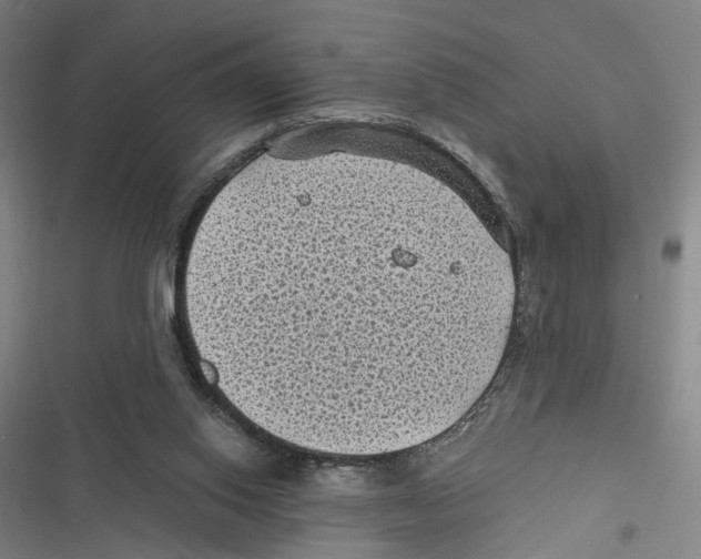 X0000116610062201001081219