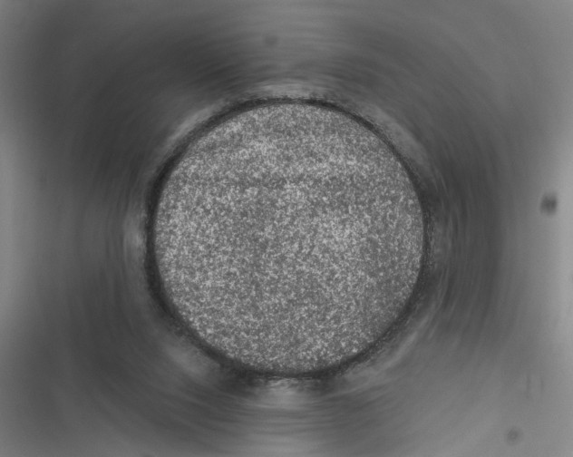 X0000116610064201001081219