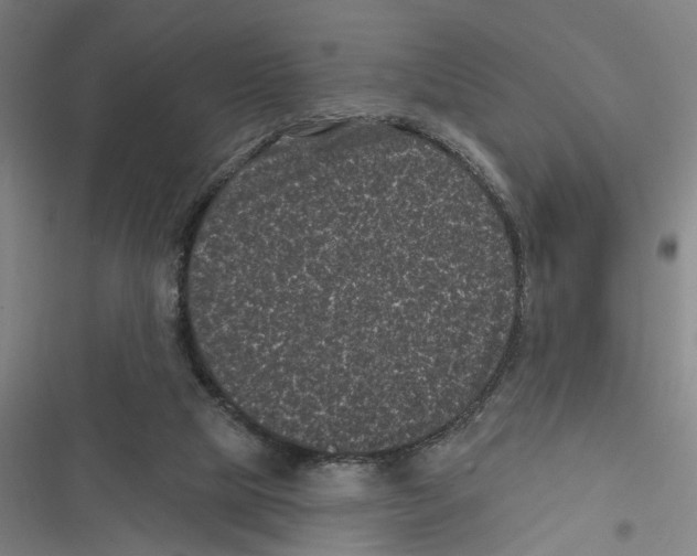 X0000116610065201001081219