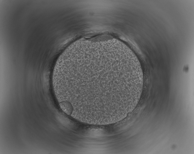 X0000116610066201001081219