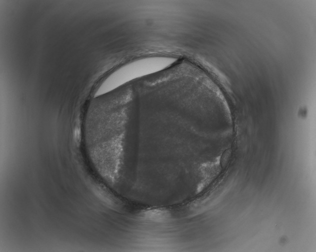 X0000116610067201001081219