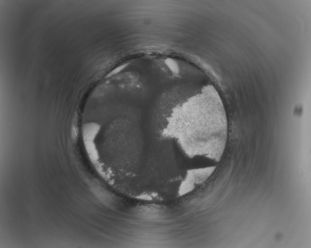 X0000116610069201001081219