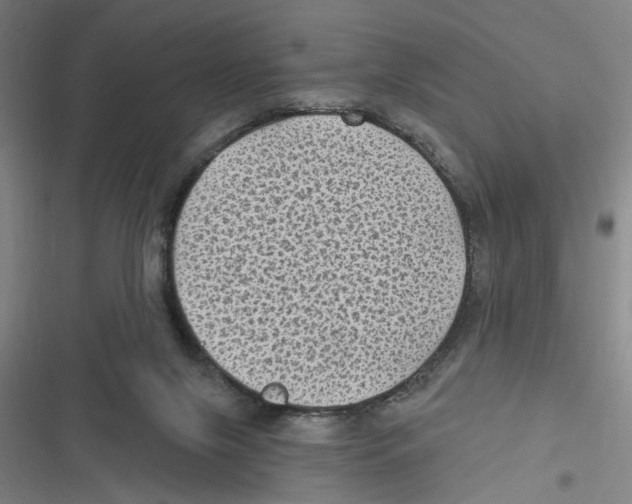 X0000116610071201001081219