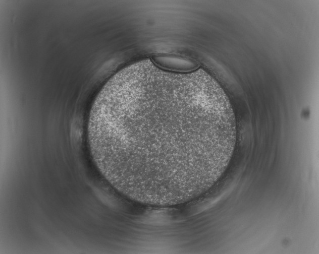 X0000116610072201001081219