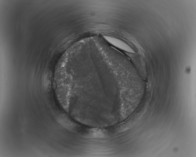 X0000116610073201001081219