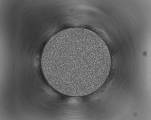 X0000116610077201001081219