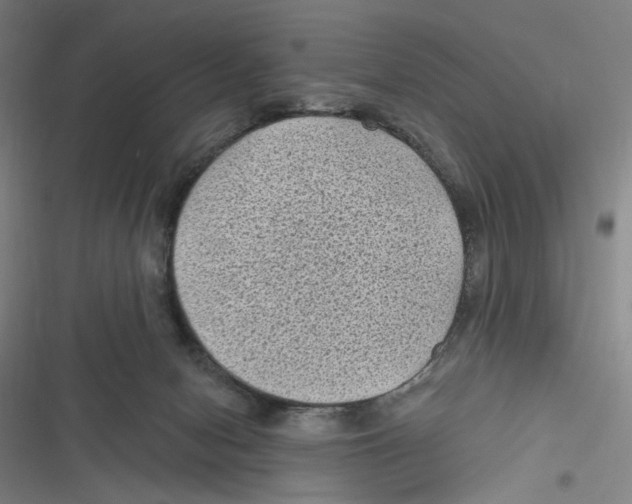 X0000116610078201001081219