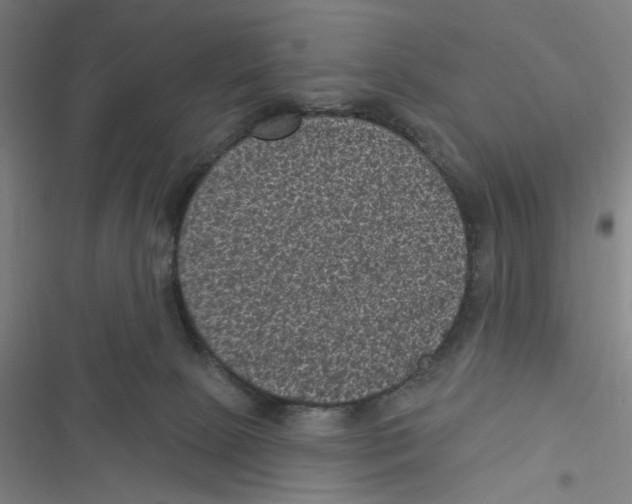 X0000116610081201001081219