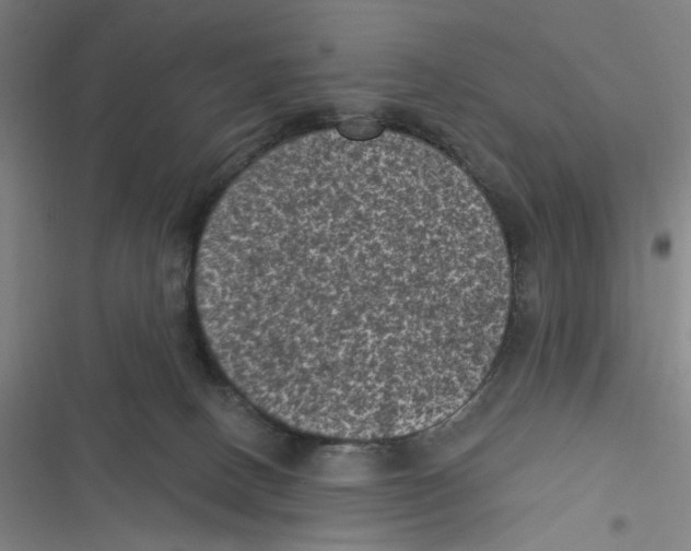 X0000116610082201001081219