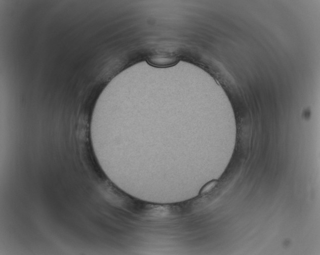 X0000116610083201001081219