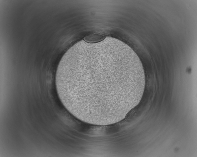 X0000116610084201001081220