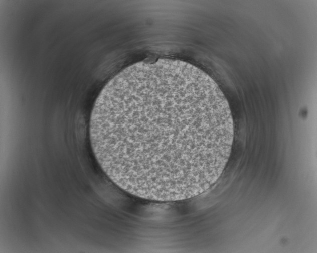 X0000116610086201001081220