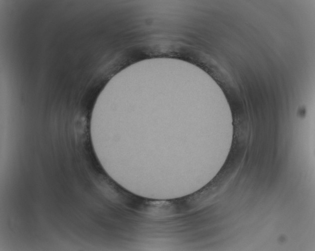 X0000116610087201001081220