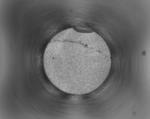 X0000116610088201001081220