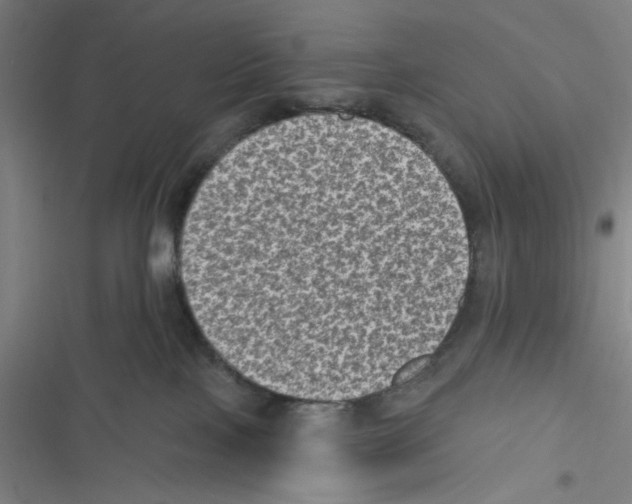 X0000116610089201001081220