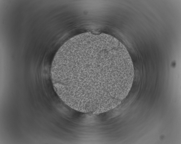 X0000116610093201001081220