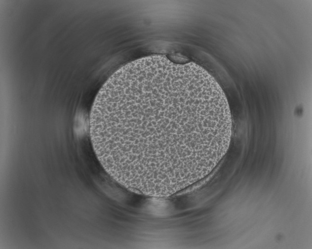 X0000116610095201001081220