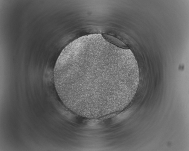 X0000116610096201001081220