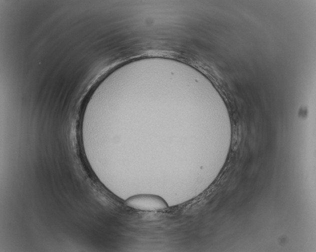 X0000116610098201001081219