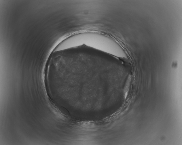 X0000116610100201001081219