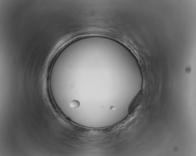 X0000116610101201001081219