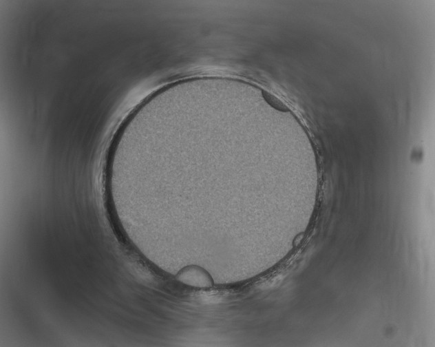 X0000116610103201001081219