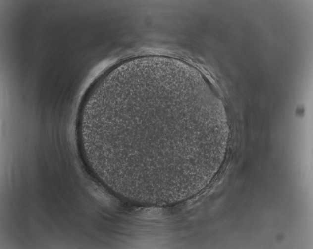 X0000116610104201001081219