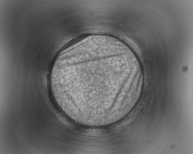 X0000116610105201001081219