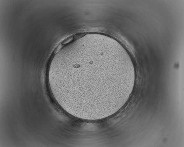 X0000116610107201001081219